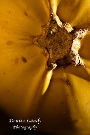 Day 3: Squash 3