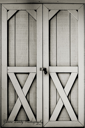 Day 99: Doors