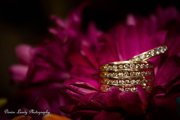 Day 83: Rings