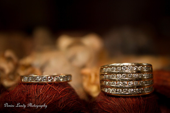 Day 89: Rings