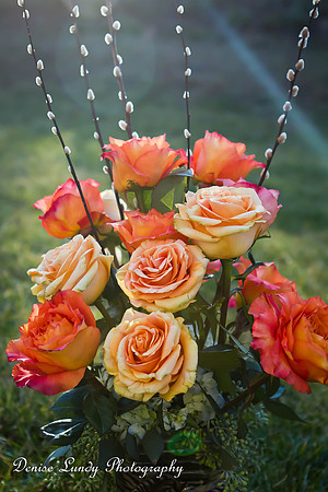Day 27: Roses from Roger