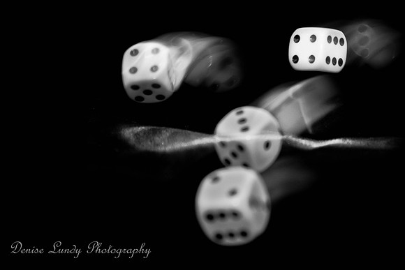 Day 48: Rollin' the Dice