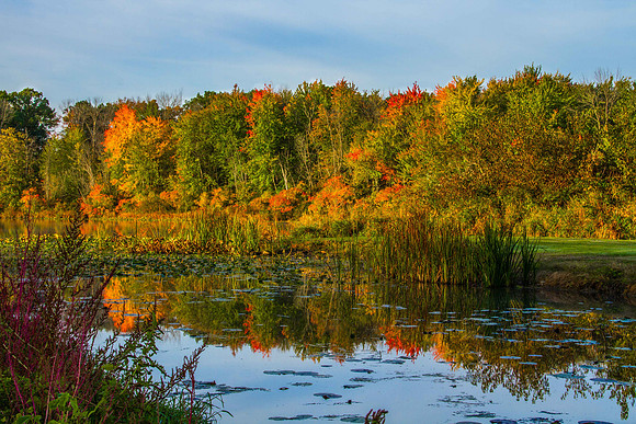 Week 42 ~ Autumn on the Lake
