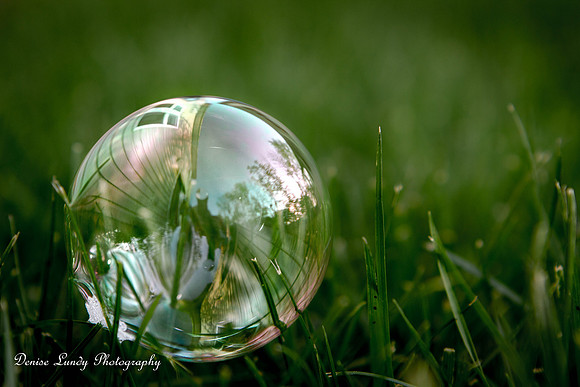 Day 93: Bubble