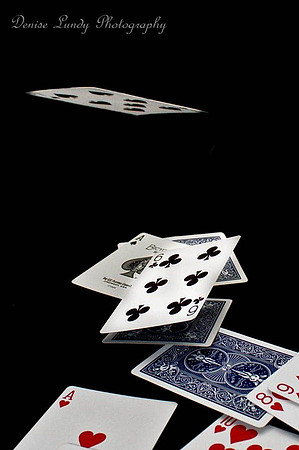 Day 48: Cards in Motion