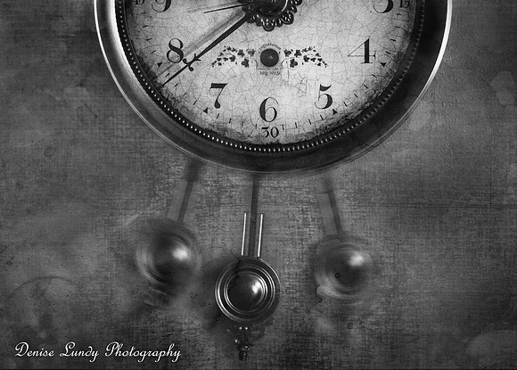 Week 20 ~ Never Enough Time in a Day