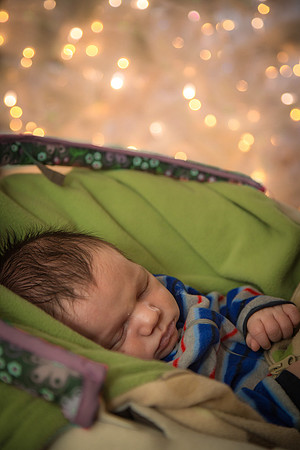 Week 47 ~ Dreamin' of Christmas