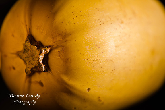 Day 3: Squash 2