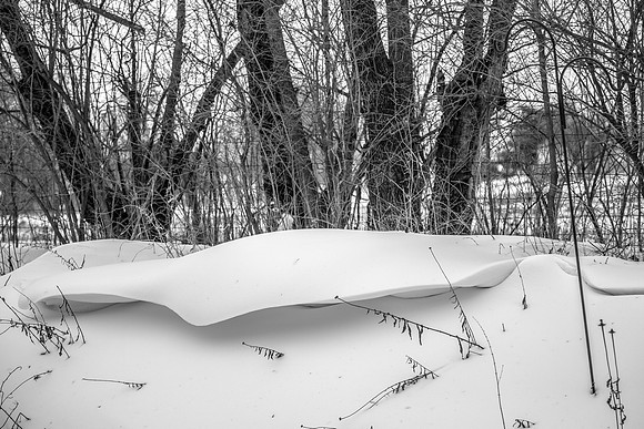 Week 4 ~ Winter