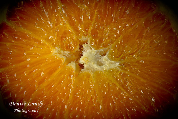Day 20: Orange Slice Details