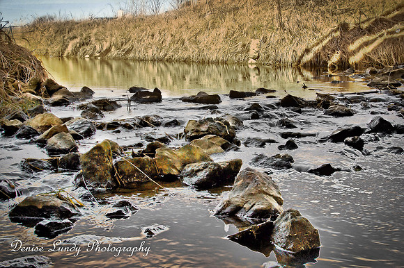 Day 51: Grassy Creek