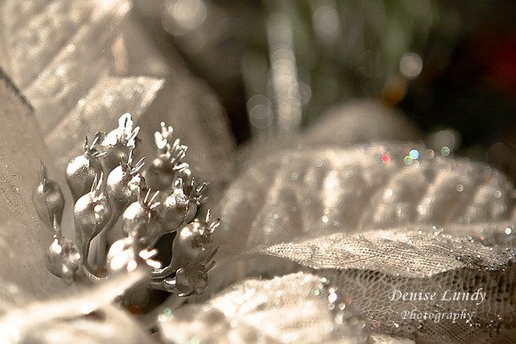 Day 1: Another Christmas past