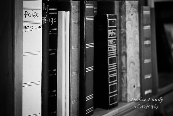 Day 11:  Half of my photo album library.