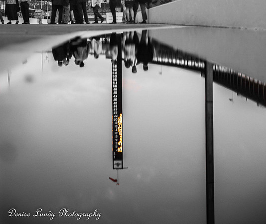 Week 19 ~ Reflection on the Oval