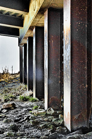 Day 51: Grassy Creek Underpass
