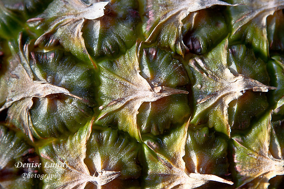 Day 4: Pineapple 2